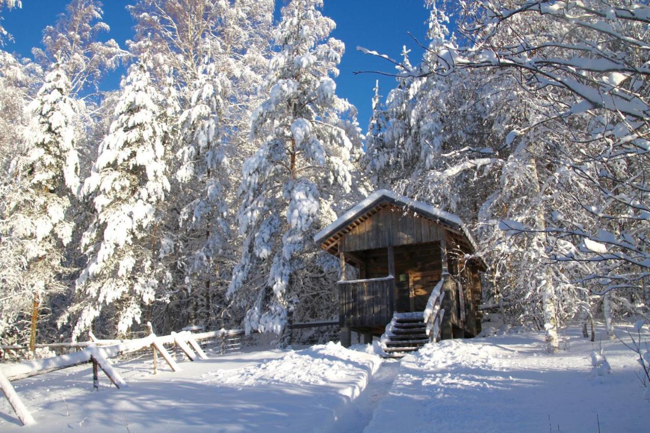 Kolin Mattila B&B Koli  Екстер'єр фото